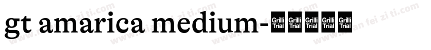 gt amarica medium字体转换